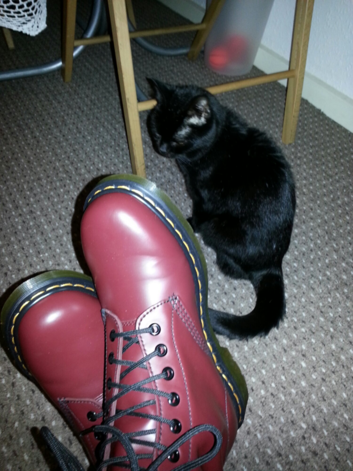 20140201_195011.jpg image