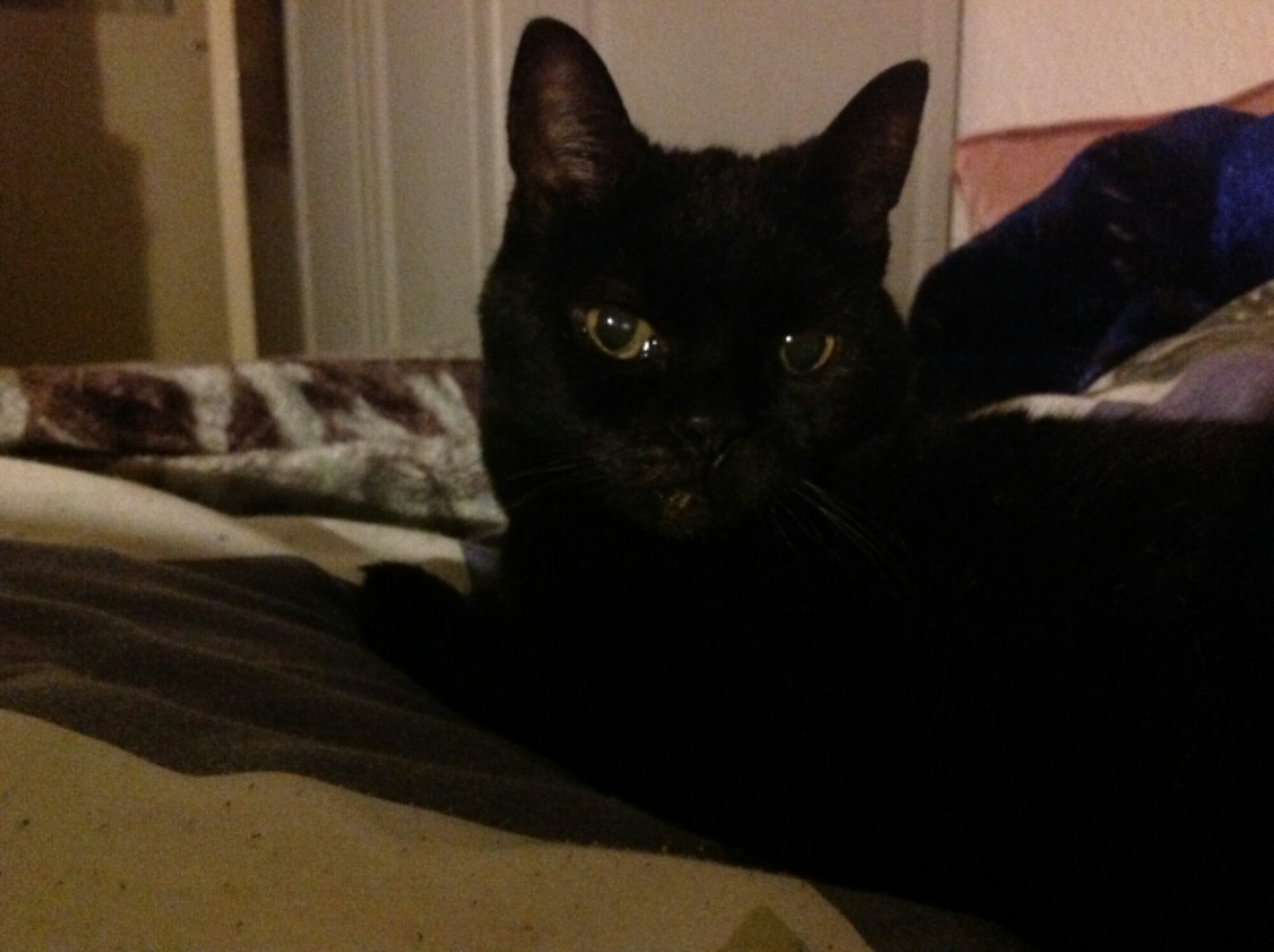 ATT_1392243133113_photo.JPG image