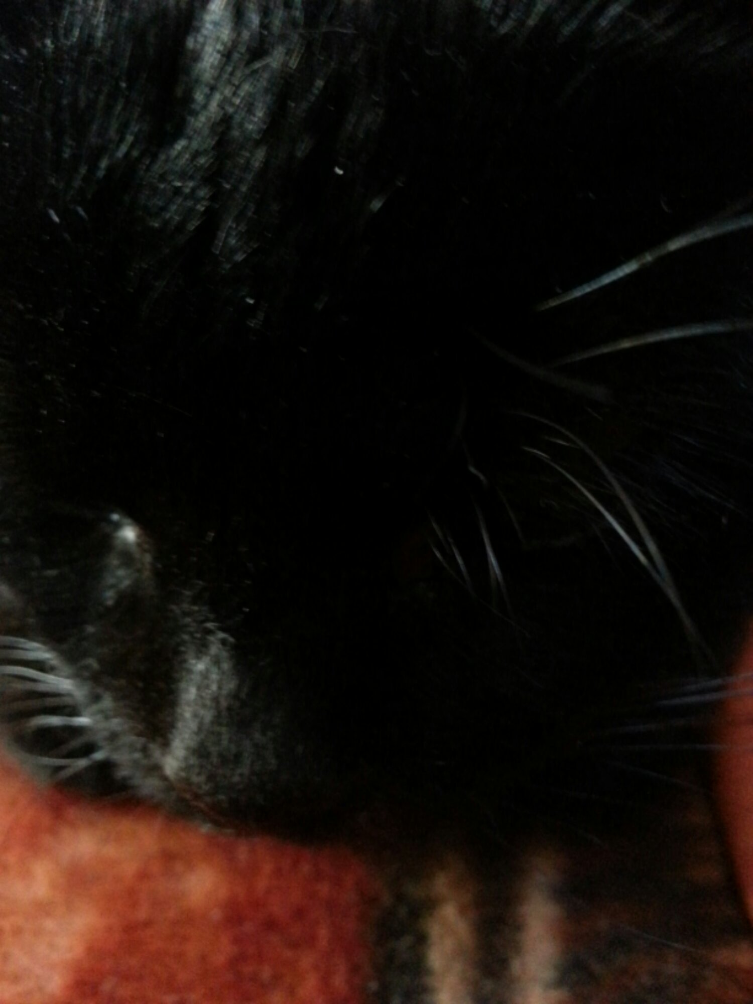 20140315_142011.jpg image