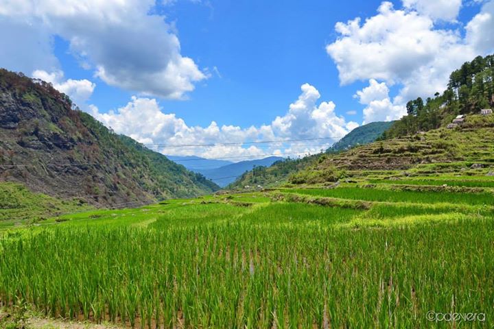 IMG_37673147455283.jpeg image