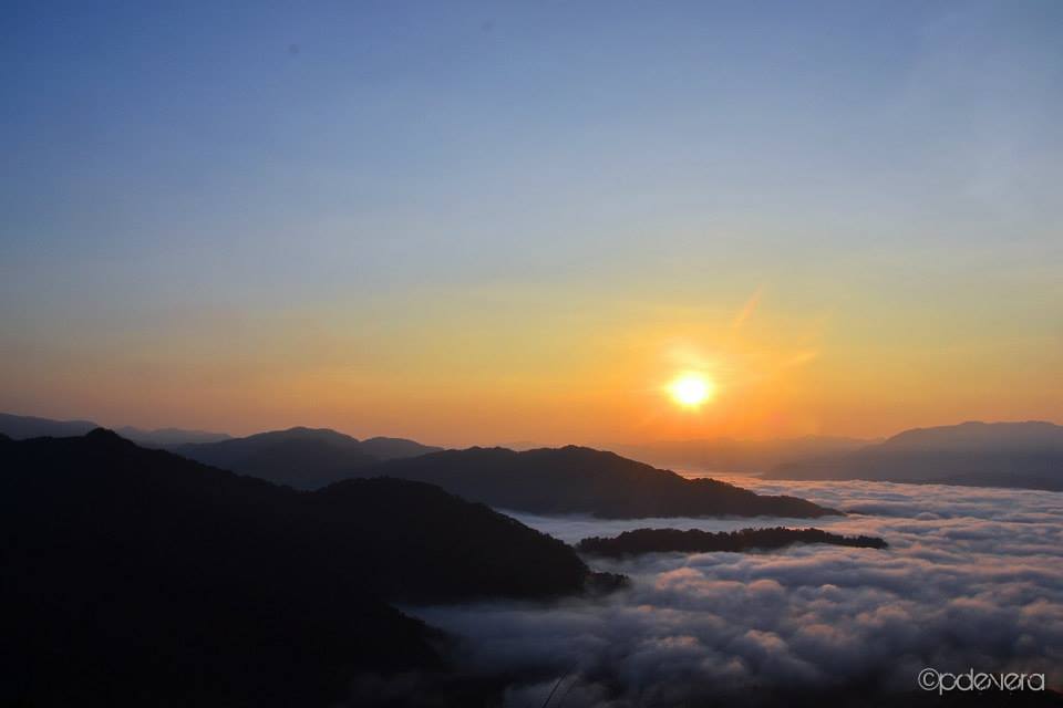 IMG_37748790788695.jpeg image