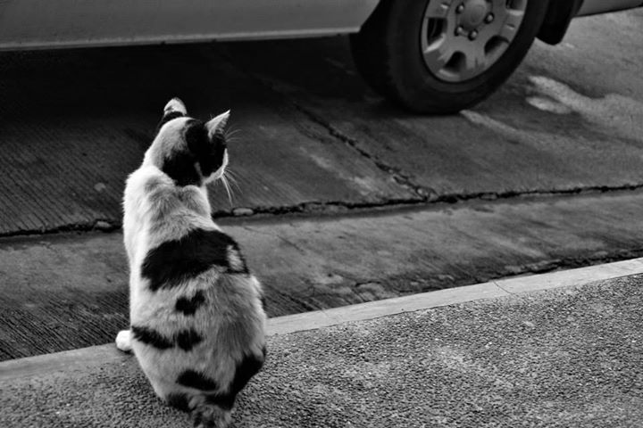 IMG_38227135277798.jpeg image