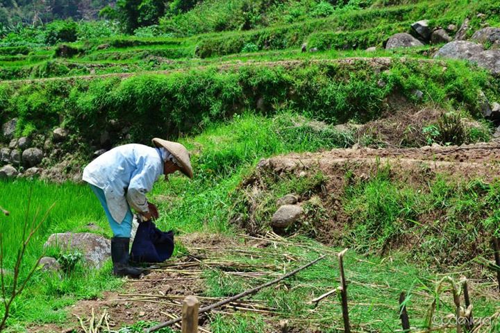 IMG_38311669784545.jpeg image