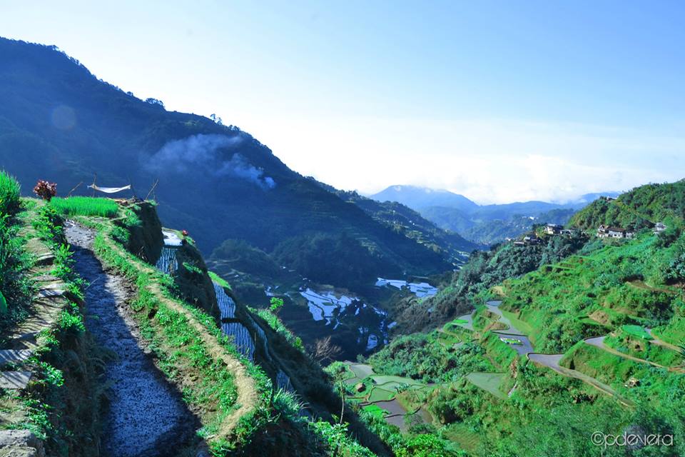 IMG_38425421684350.jpeg image