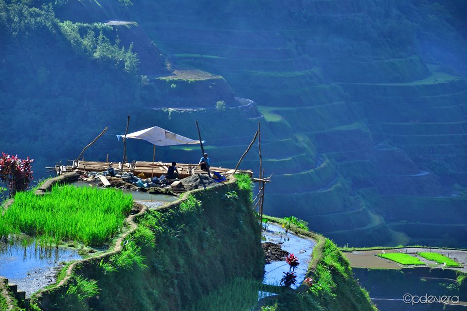 IMG_38435740139856.jpeg image