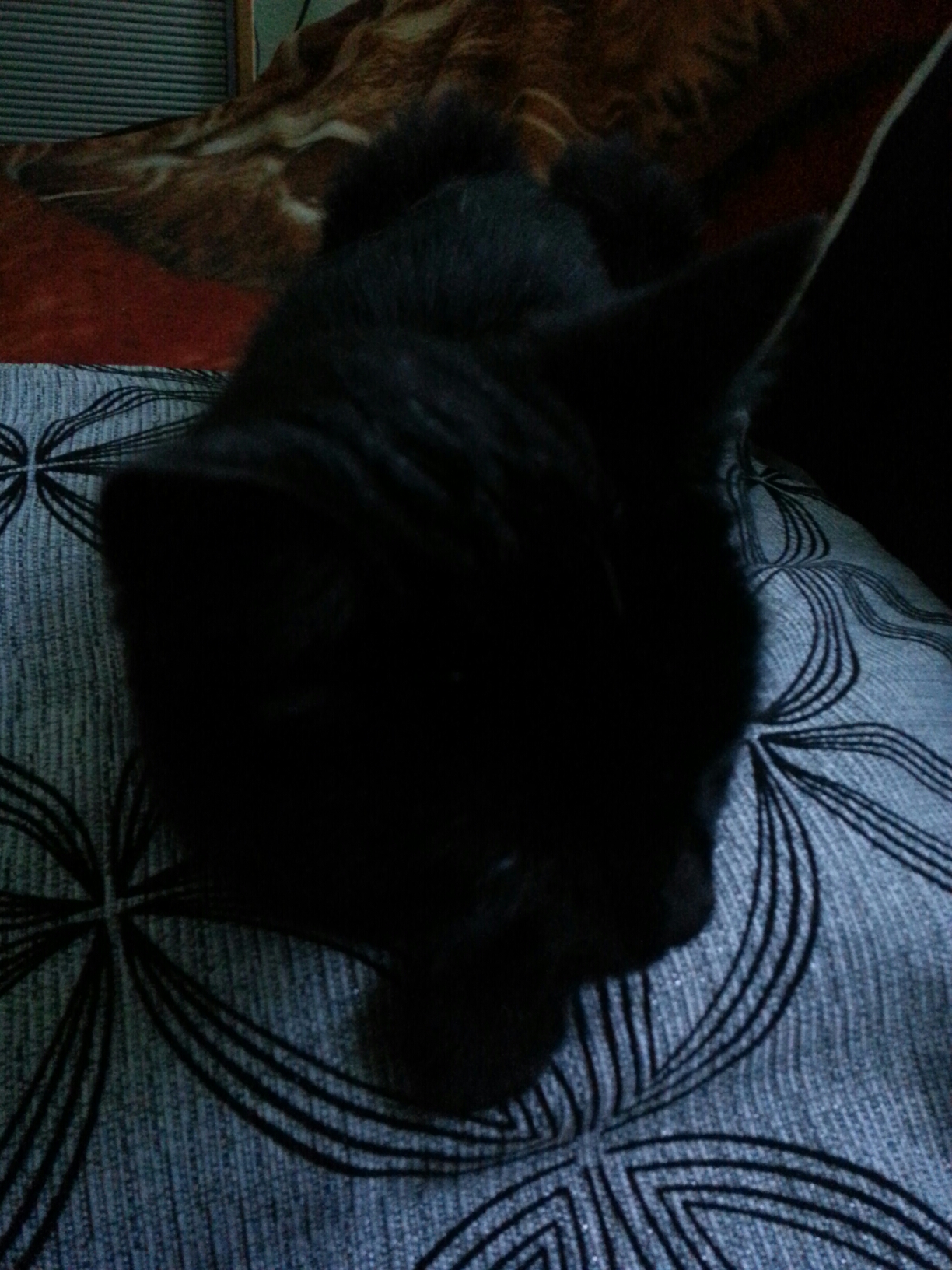 20140802_201644.jpg image