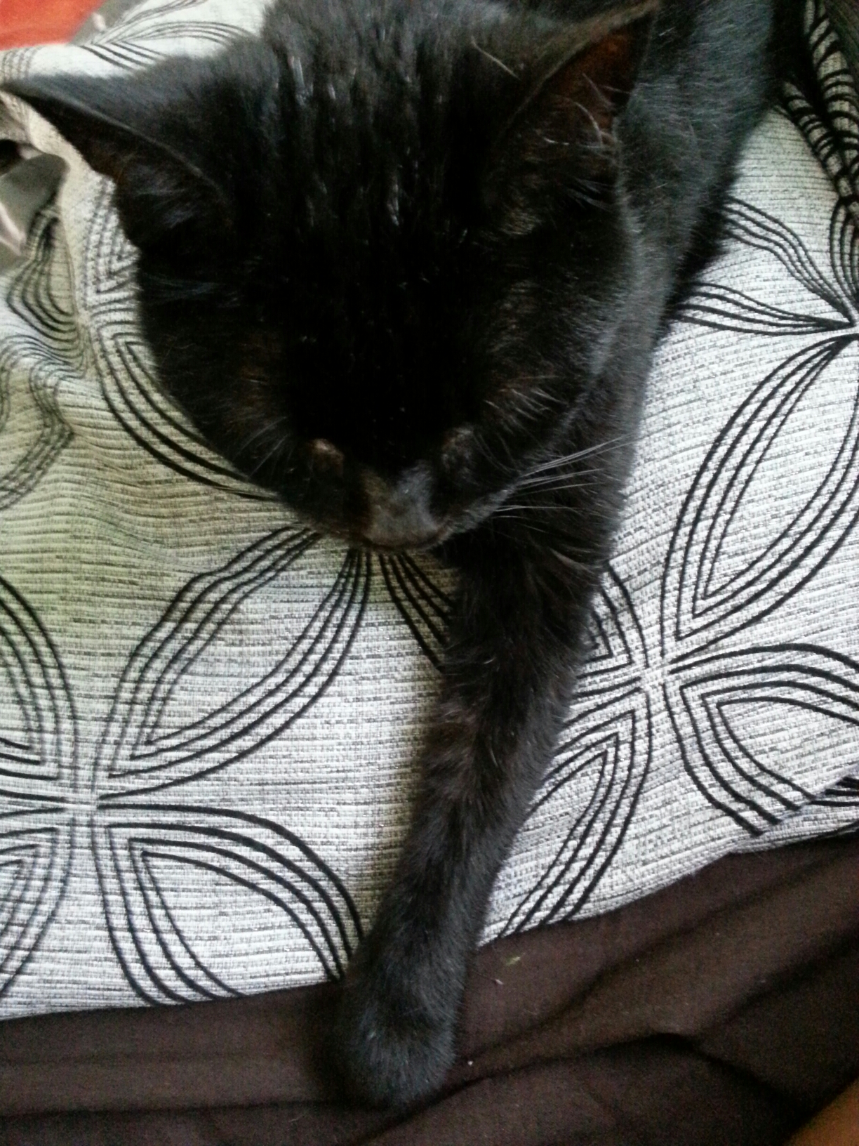 20140809_184034.jpg image