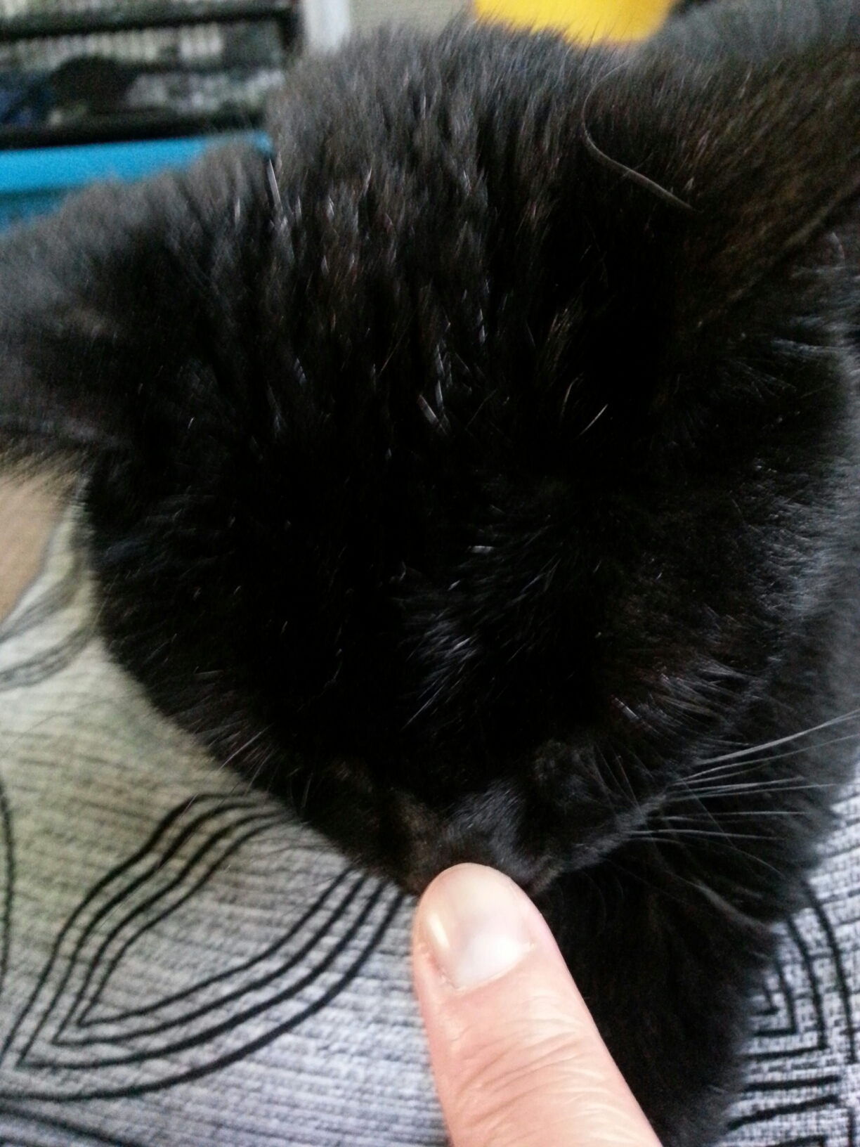 20140809_184244.jpg image