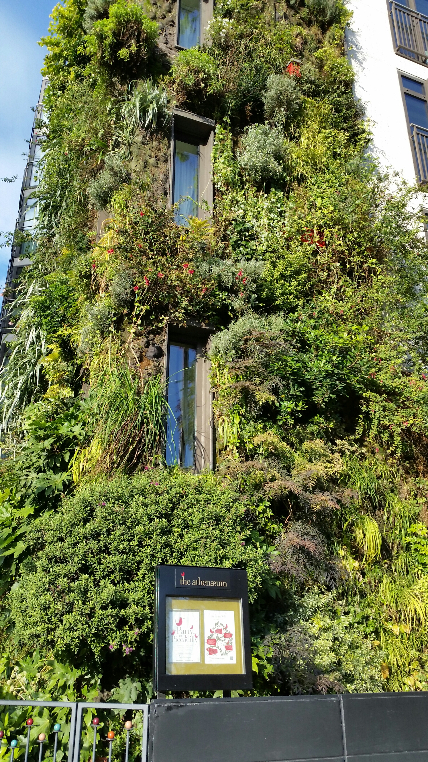 20141129_123839.jpg image