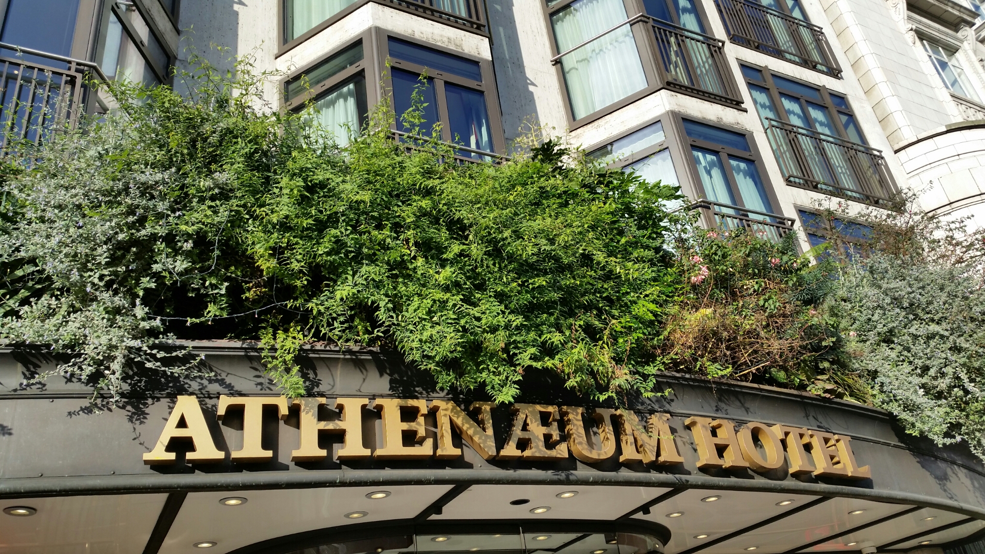 20141129_123852.jpg image